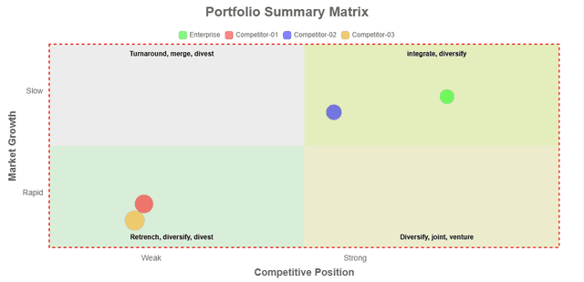 Portfolio Summary Matrix
